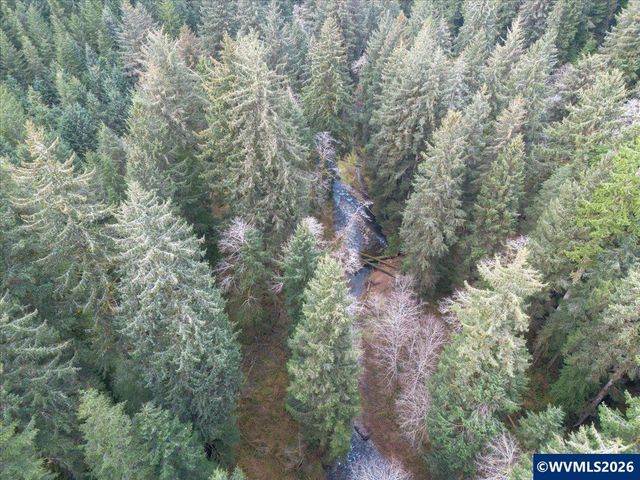 10840 Tillicum Lp, Neskowin, OR 97149