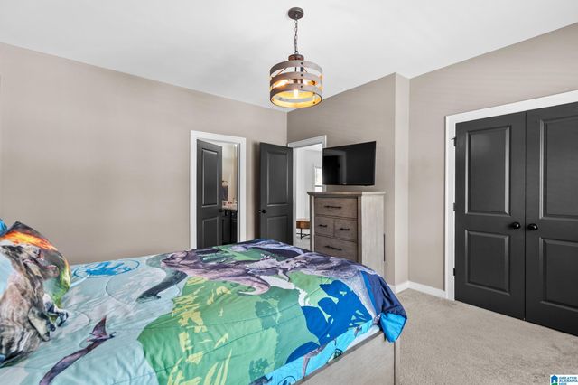 2029 NUNNALLY PASS, Hoover, AL 35244