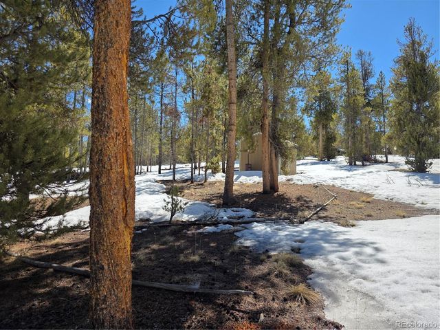 378 Ponderosa Drive, Twin Lakes, CO 81251