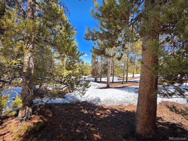378 Ponderosa Drive, Twin Lakes, CO 81251