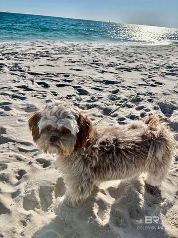 1380 State Highway 180 407, Gulf Shores, AL 36542