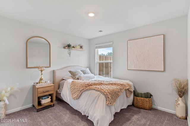 6220 Centipede Place, Castle Hayne, NC 28429