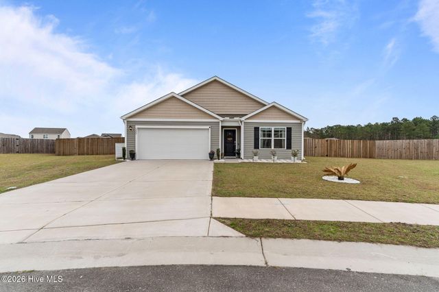 6220 Centipede Place, Castle Hayne, NC 28429