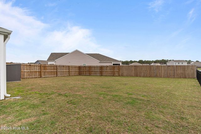 6220 Centipede Place, Castle Hayne, NC 28429