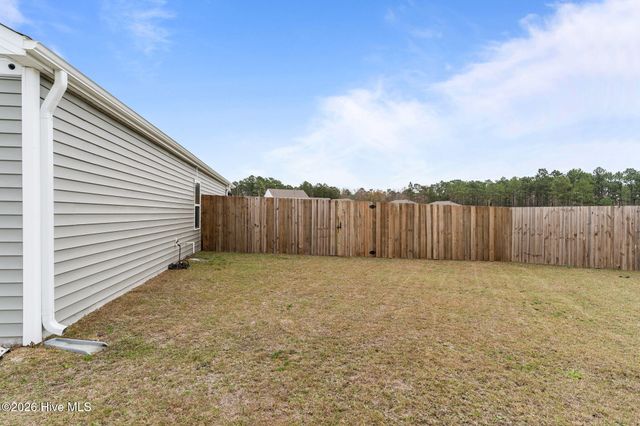 6220 Centipede Place, Castle Hayne, NC 28429