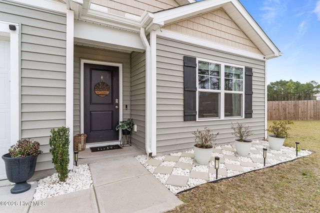 6220 Centipede Place, Castle Hayne, NC 28429