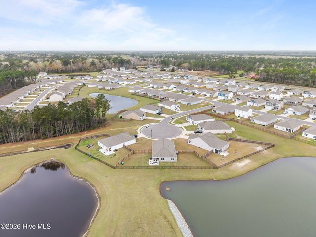 6220 Centipede Place, Castle Hayne, NC 28429