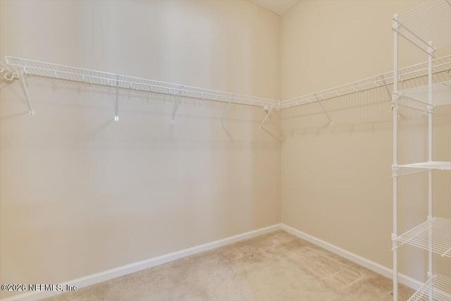 7209 MONDOVI Lane, Jacksonville, FL 32258