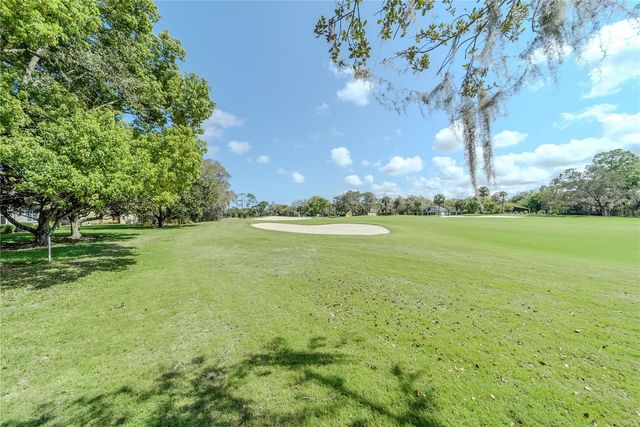 550 BOTTLEBRUSH COURT, New Smyrna Beach, FL 32168