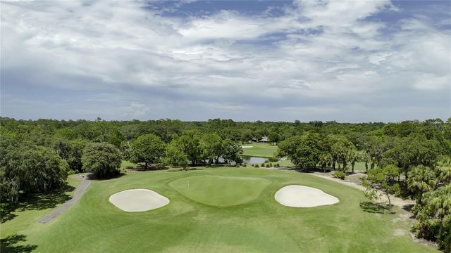 550 BOTTLEBRUSH COURT, New Smyrna Beach, FL 32168