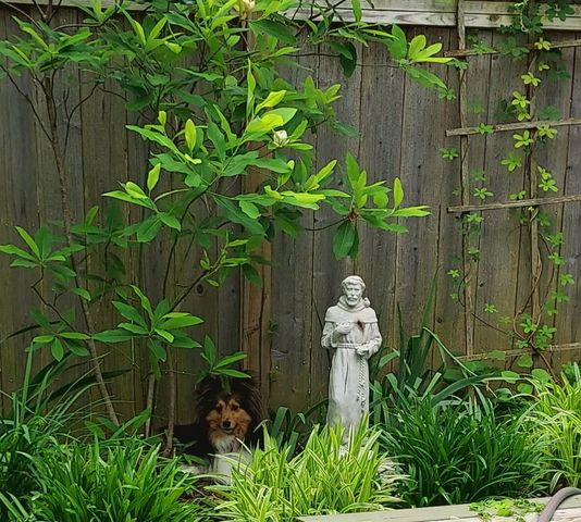 214 W Campbell Street, Frankfort, KY 40601