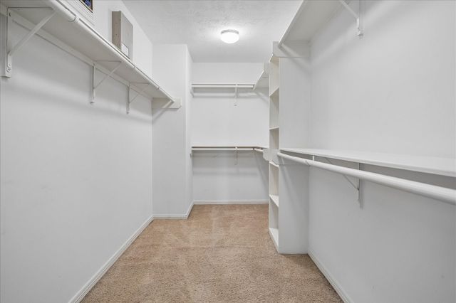 1319 Ella Place, Houston, TX 77008
