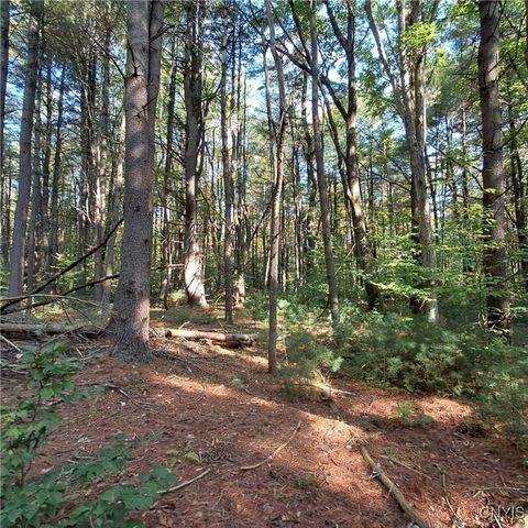 0 Stone Barn Road, Vienna, NY 13042