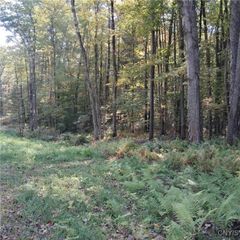 0 Stone Barn Road, Vienna, NY 13042