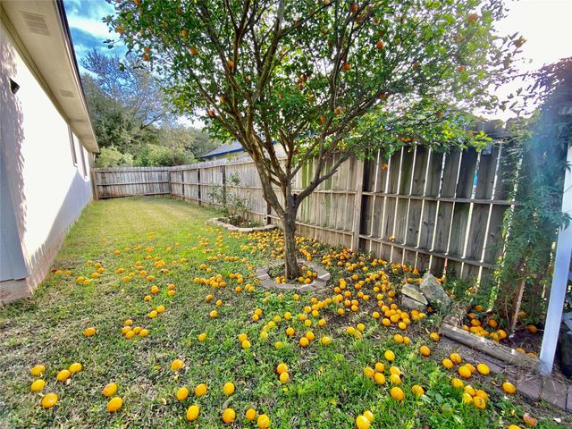 140 Llama LOOP, Kyle, TX 78640