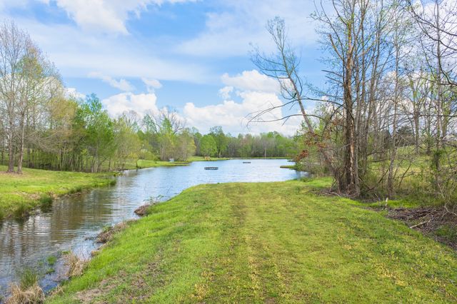 55 Sunshine Cv, Scotts Hill, TN 38374