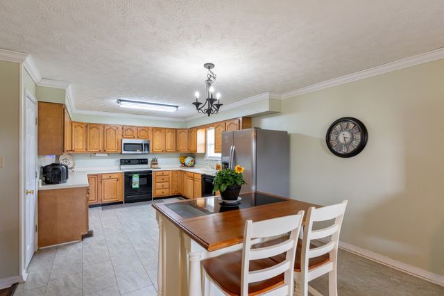 55 Sunshine Cv, Scotts Hill, TN 38374