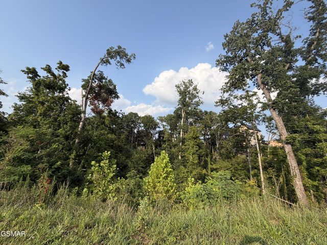 143 Reedmont Way, Sevierville, TN 37876