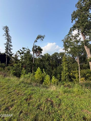 143 Reedmont Way, Sevierville, TN 37876