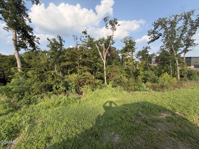 143 Reedmont Way, Sevierville, TN 37876