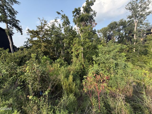 143 Reedmont Way, Sevierville, TN 37876