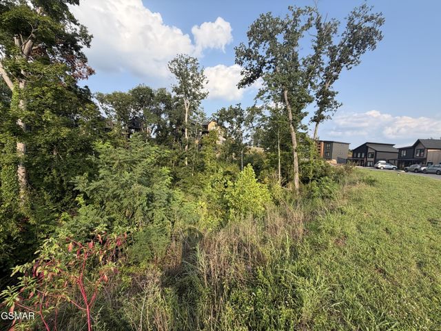 143 Reedmont Way, Sevierville, TN 37876