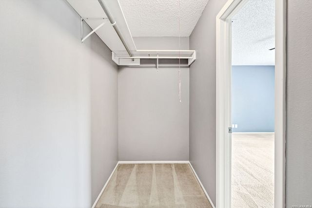 2435 THRASHER OAK, San Antonio, TX 78232