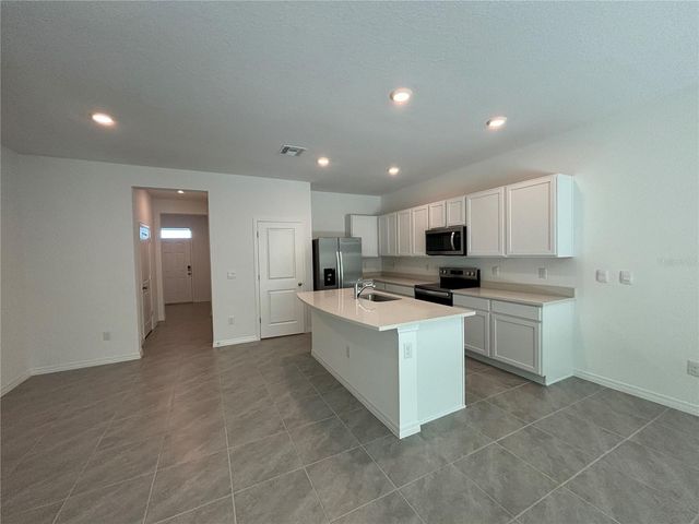 17254 ASHE JUNIPER LANE, Land O Lakes, FL 34638