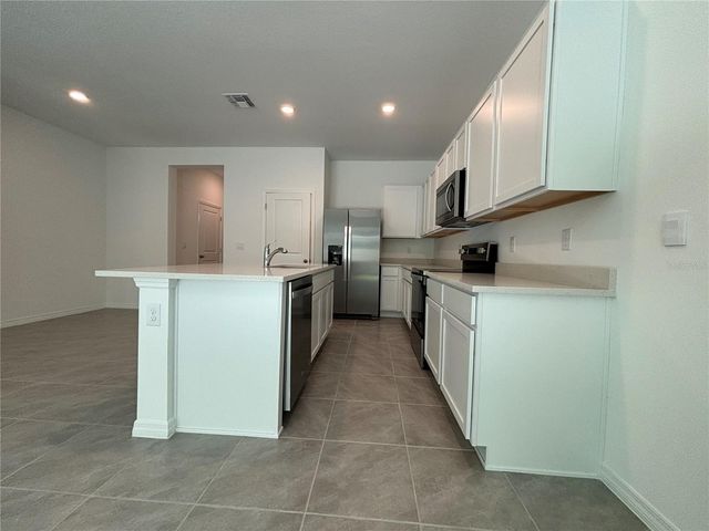 17254 ASHE JUNIPER LANE, Land O Lakes, FL 34638