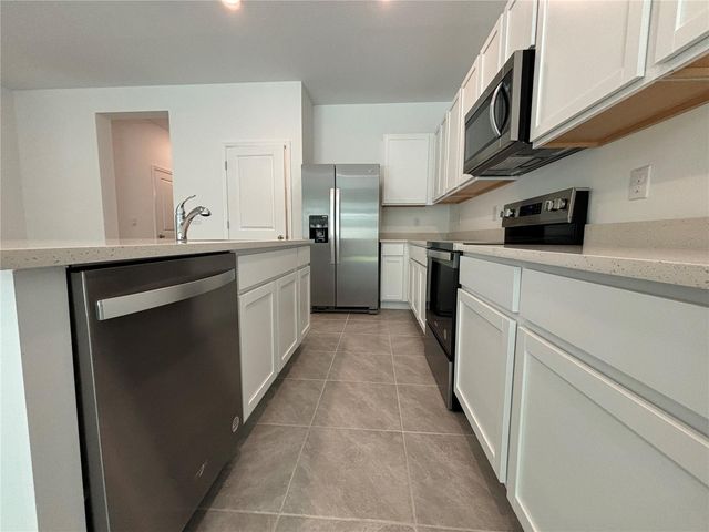 17254 ASHE JUNIPER LANE, Land O Lakes, FL 34638