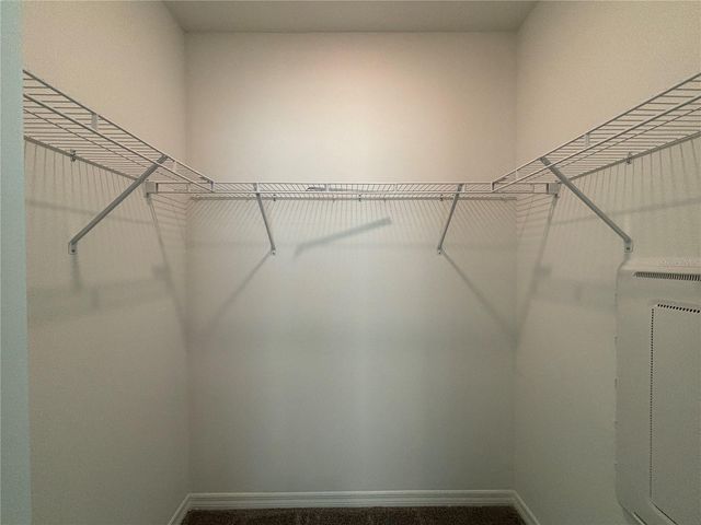 17254 ASHE JUNIPER LANE, Land O Lakes, FL 34638