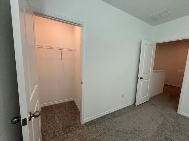 17254 ASHE JUNIPER LANE, Land O Lakes, FL 34638