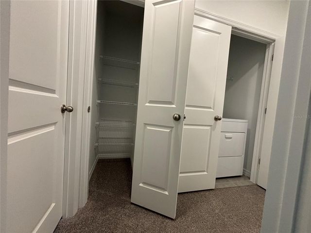 17254 ASHE JUNIPER LANE, Land O Lakes, FL 34638