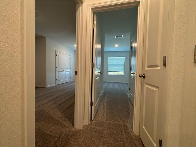 17254 ASHE JUNIPER LANE, Land O Lakes, FL 34638