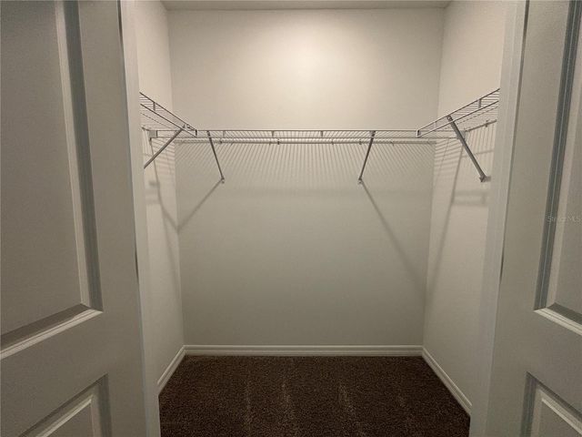 17254 ASHE JUNIPER LANE, Land O Lakes, FL 34638