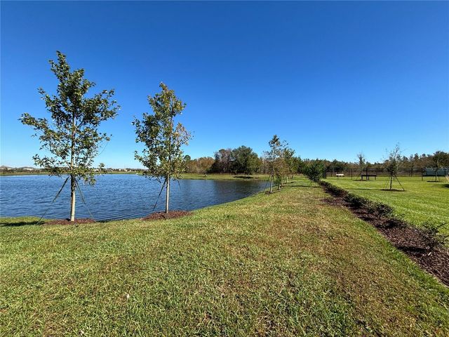 17254 ASHE JUNIPER LANE, Land O Lakes, FL 34638
