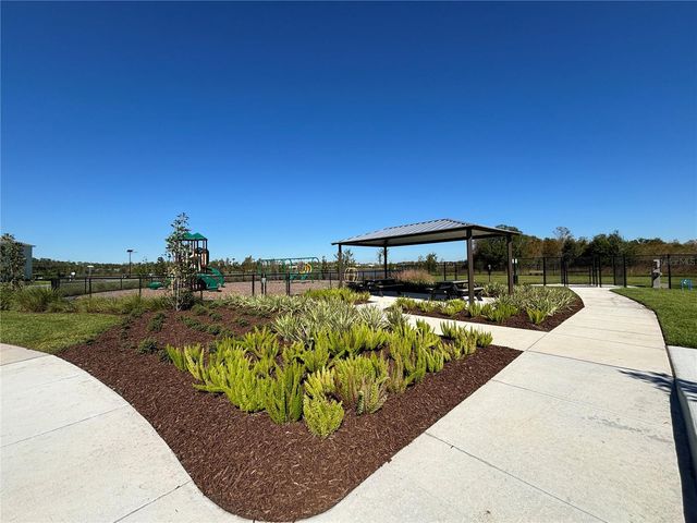 17254 ASHE JUNIPER LANE, Land O Lakes, FL 34638