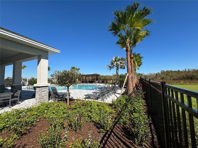 17254 ASHE JUNIPER LANE, Land O Lakes, FL 34638