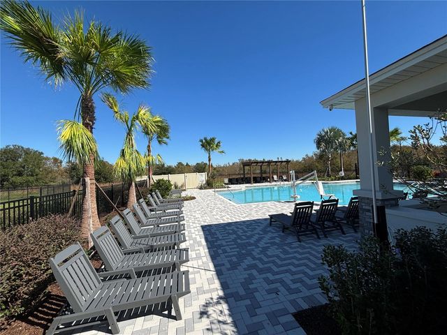 17254 ASHE JUNIPER LANE, Land O Lakes, FL 34638