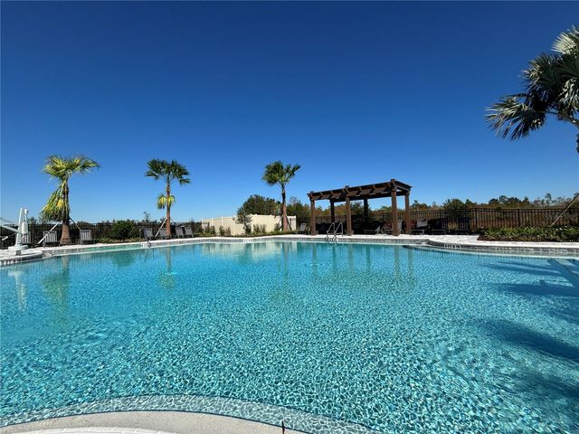 17254 ASHE JUNIPER LANE, Land O Lakes, FL 34638