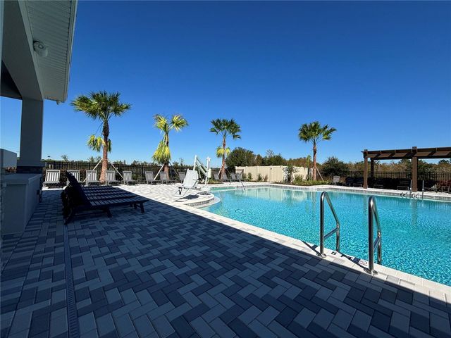 17254 ASHE JUNIPER LANE, Land O Lakes, FL 34638