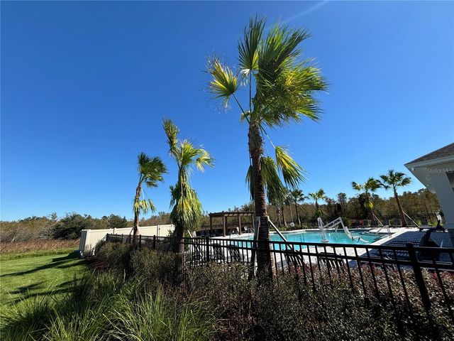 17254 ASHE JUNIPER LANE, Land O Lakes, FL 34638