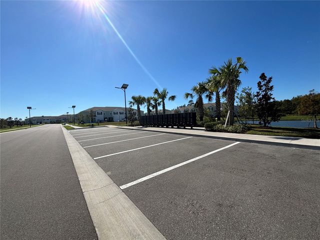 17254 ASHE JUNIPER LANE, Land O Lakes, FL 34638