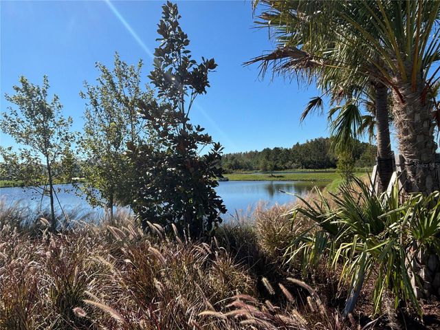17254 ASHE JUNIPER LANE, Land O Lakes, FL 34638