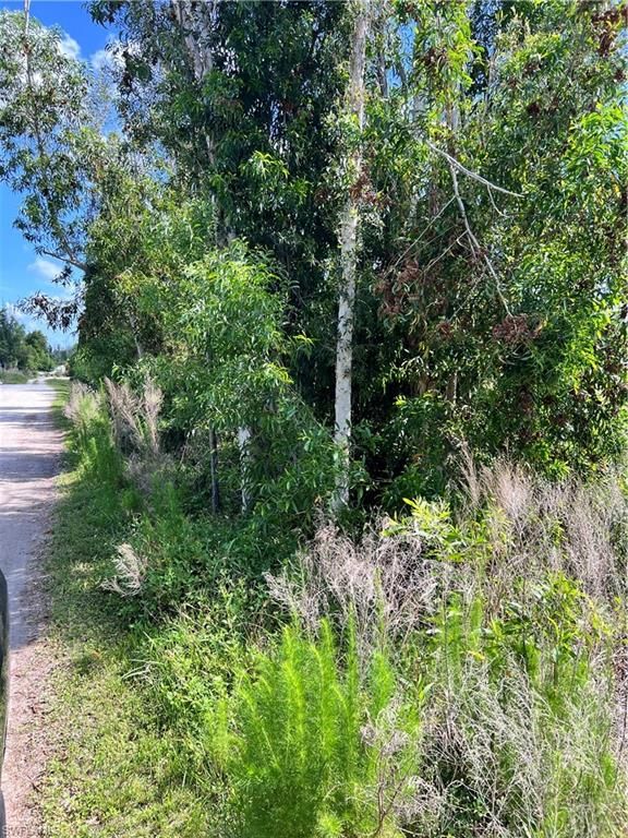 8746 Nome CT, ST. JAMES CITY, FL 33956 — photo 4
