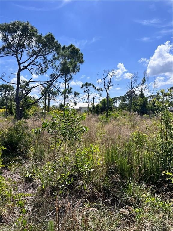 8746 Nome CT, ST. JAMES CITY, FL 33956 — photo 5