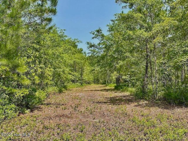 00 Nc-306, Grantsboro, NC 28529