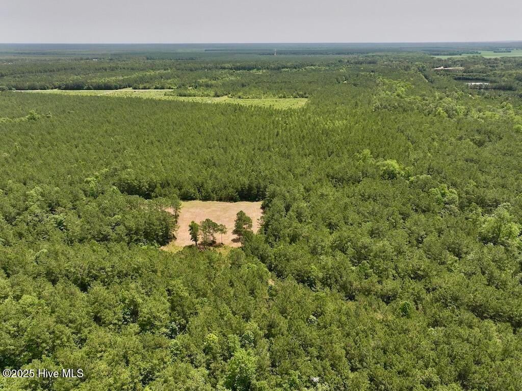 Image 10 of property listing at 00 Nc-306, Grantsboro, NC 28529