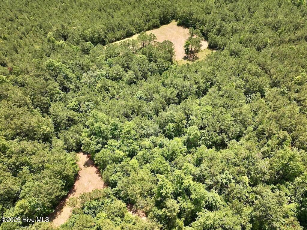 Image 11 of property listing at 00 Nc-306, Grantsboro, NC 28529