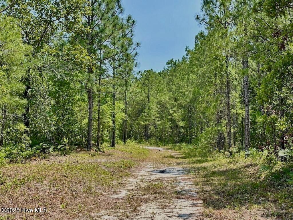 Image 15 of property listing at 00 Nc-306, Grantsboro, NC 28529